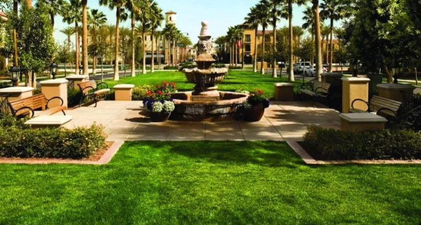 Keep Verrado Green